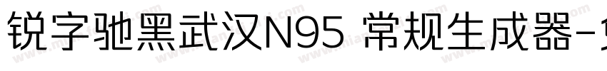 锐字驰黑武汉N95 常规生成器字体转换